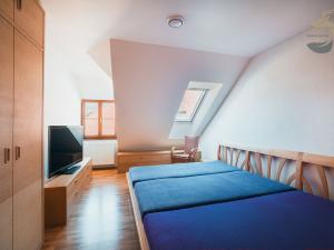 Prodej obchodního prostoru, Sušice, náměstí Svobody, 658 m2