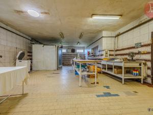 Prodej výrobních prostor, Ostrava, Zákoutí, 170 m2