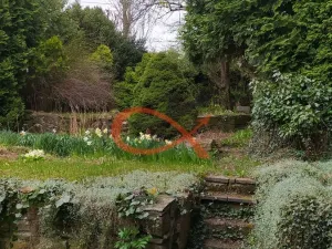 Prodej rodinného domu, Vigantice, 250 m2