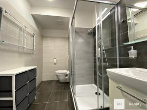 Pronájem bytu 1+kk, Mladá Boleslav, Laurinova, 29 m2