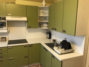 Pronájem bytu 4+1, Praha - Žižkov, Květinková, 74 m2
