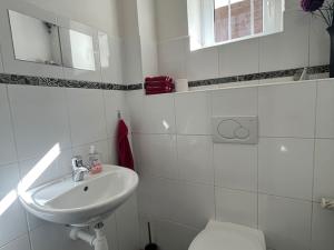 Prodej rodinného domu, Teplá - Beranovka, 336 m2