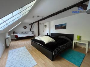 Prodej rodinného domu, Teplá - Beranovka, 336 m2