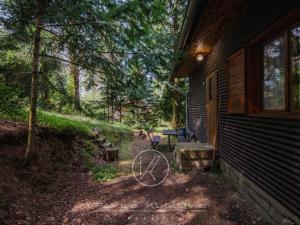 Prodej chaty, Horšovský Týn - Podhájí, 58 m2