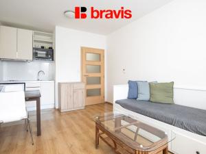 Pronájem bytu 1+kk, Brno, Purkyňova, 30 m2