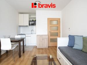 Pronájem bytu 1+kk, Brno, Purkyňova, 30 m2