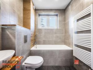 Pronájem bytu 2+kk, Ostrava - Mariánské Hory, Cottonové, 37 m2