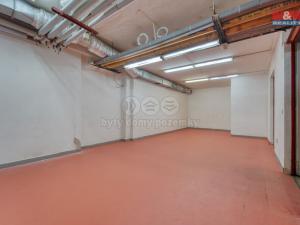 Pronájem skladu, Plzeň, Sousedská, 47 m2