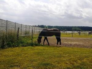 Prodej komerční nemovitosti, Spálené Poříčí, 52300 m2