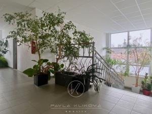 Pronájem kanceláře, Plzeň, V Hliníku, 17 m2