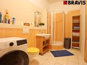 Pronájem komerční nemovitosti, Brno, Fryčajova, 45 m2