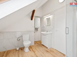 Prodej činžovního domu, Ústí nad Labem - Střekov, Pionýrů, 302 m2