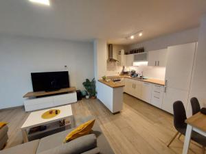 Pronájem bytu 2+kk, Olomouc - Nová Ulice, Třída Jiřího Pelikána, 75 m2