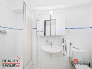 Prodej bytu 1+kk, Praha - Libeň, Novákových, 27 m2