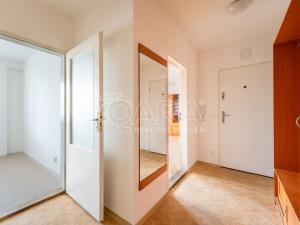 Pronájem bytu 1+1, Brno - Královo Pole, Mojmírovo náměstí, 47 m2