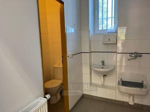 Pronájem obchodního prostoru, České Budějovice - České Budějovice 3, Jírovcova, 40 m2