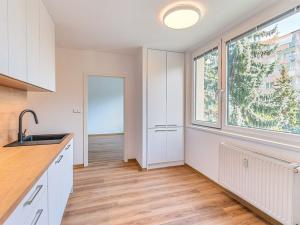 Pronájem bytu 3+1, Olomouc - Nová Ulice, Za vodojemem, 78 m2