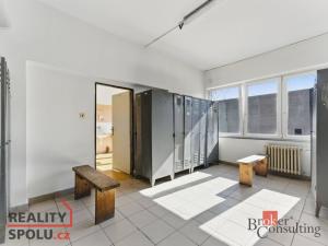 Pronájem výrobních prostor, Hradec Králové - Slezské Předměstí, Výrobní, 1059 m2