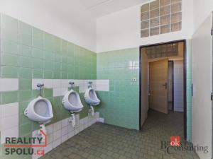 Pronájem výrobních prostor, Hradec Králové - Slezské Předměstí, Výrobní, 1059 m2