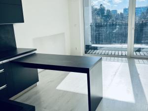 Pronájem bytu 1+kk, Brno - Štýřice, 32 m2