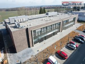 Pronájem výrobních prostor, Říčany, Technická, 1000 m2