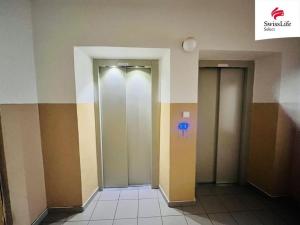 Pronájem bytu 3+1, Plzeň, Žlutická, 70 m2