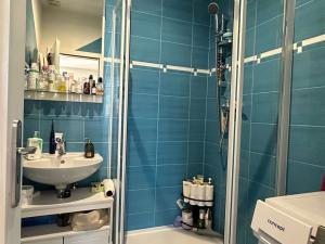 Pronájem bytu 2+kk, Cheb, Karlova, 33 m2
