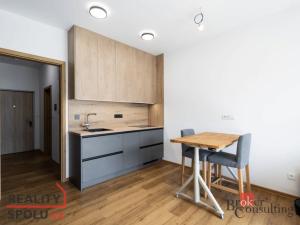 Pronájem bytu 1+kk, Plzeň - Jižní Předměstí, Železná, 31 m2