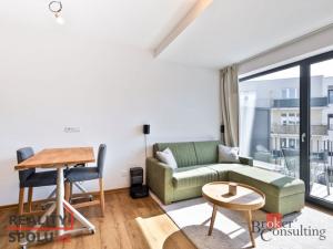 Pronájem bytu 1+kk, Plzeň - Jižní Předměstí, Železná, 31 m2