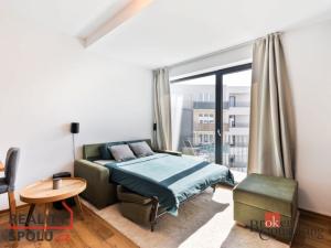 Pronájem bytu 1+kk, Plzeň - Jižní Předměstí, Železná, 31 m2