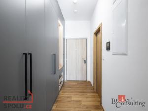 Pronájem bytu 1+kk, Plzeň - Jižní Předměstí, Železná, 31 m2