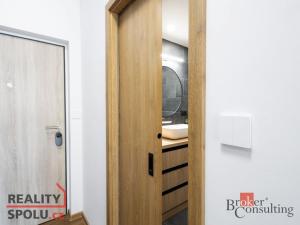 Pronájem bytu 1+kk, Plzeň - Jižní Předměstí, Železná, 31 m2