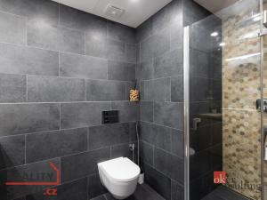Pronájem bytu 1+kk, Plzeň - Jižní Předměstí, Železná, 31 m2