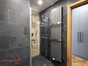 Pronájem bytu 1+kk, Plzeň - Jižní Předměstí, Železná, 31 m2