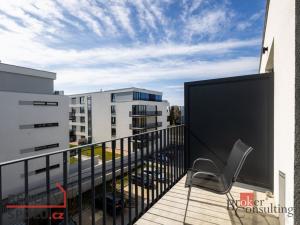 Pronájem bytu 1+kk, Plzeň - Jižní Předměstí, Železná, 31 m2