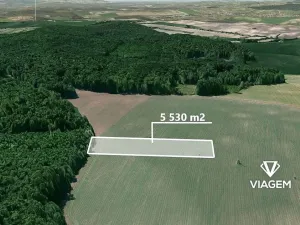 Prodej podílu pole, Mutěnice, 1382 m2