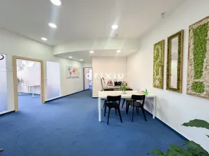 Pronájem kanceláře, Brno - Brno-město, Starobrněnská, 141 m2