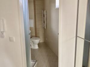 Pronájem bytu 1+kk, Škvorec - Třebohostice, 22 m2