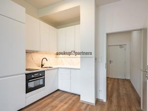 Prodej bytu 1+kk, Praha - Podolí, Sinkulova, 27 m2