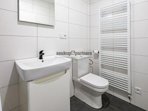 Prodej bytu 1+kk, Praha - Podolí, Sinkulova, 27 m2
