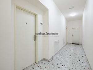 Prodej bytu 1+kk, Praha - Podolí, Sinkulova, 27 m2