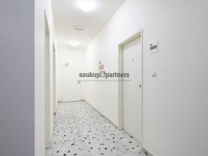 Prodej bytu 1+kk, Praha - Podolí, Sinkulova, 30 m2