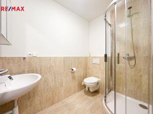 Prodej kanceláře, Štěchovice, Krátká, 300 m2