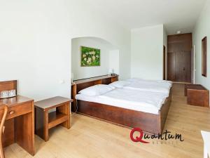 Prodej domu, Telč, náměstí Zachariáše z Hradce, 680 m2