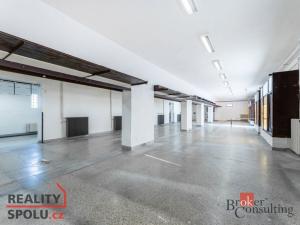 Prodej obchodního prostoru, Pardubice - Zelené Předměstí, Jilemnického, 780 m2