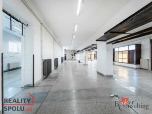 Prodej obchodního prostoru, Pardubice - Zelené Předměstí, Jilemnického, 780 m2