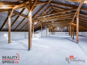 Prodej obchodního prostoru, Pardubice - Zelené Předměstí, Jilemnického, 780 m2