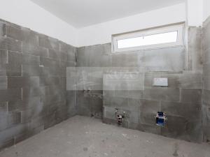 Pronájem rodinného domu, Mladá Boleslav - Debř, Láskov, 164 m2