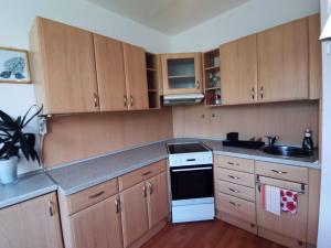 Pronájem bytu 1+1, Sušice - Sušice II, Hrádecká, 47 m2