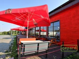 Pronájem restaurace, Olomouc - Nemilany, 305 m2